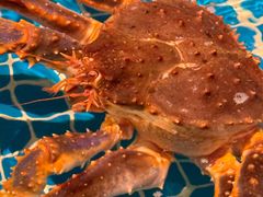 -隐炉和牛烧肉店(群力店)