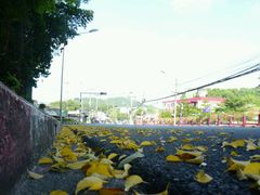 街景-普吉镇