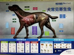 -北京佳信宠物医院