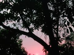 -阳台山森林公园