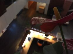 -知爱母婴专护全套房月子会所(新华路店)