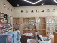 -袖虎猫馆(十亩地店)