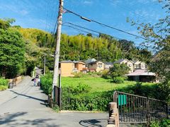 -西芳寺(苔寺)