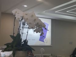-北京画美医疗美容医院