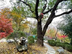 -大连植物园