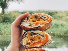 -欢乐蟹庄·精品农家乐(阳澄湖莲花岛店)