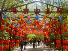 -哈密回王府景区