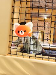 -奈尔宝家庭中心·亲子餐厅(长沙运达汇店)