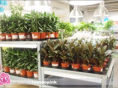 -宜家家居(哈尔滨商场店)