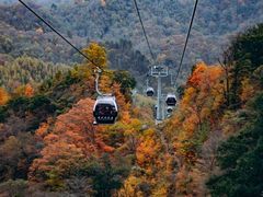 -光雾山旅游景区