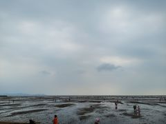 -仙人岛