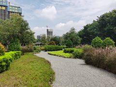 -映月湖公园