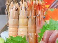 -左舞日本料理
