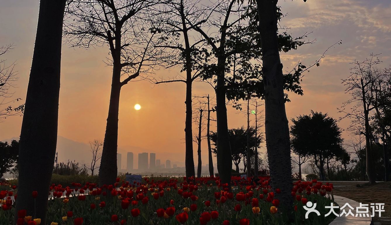 福州花海公园🍂不止郁金香还有‼️