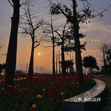 福州花海公园🍂不止郁金香还有‼️