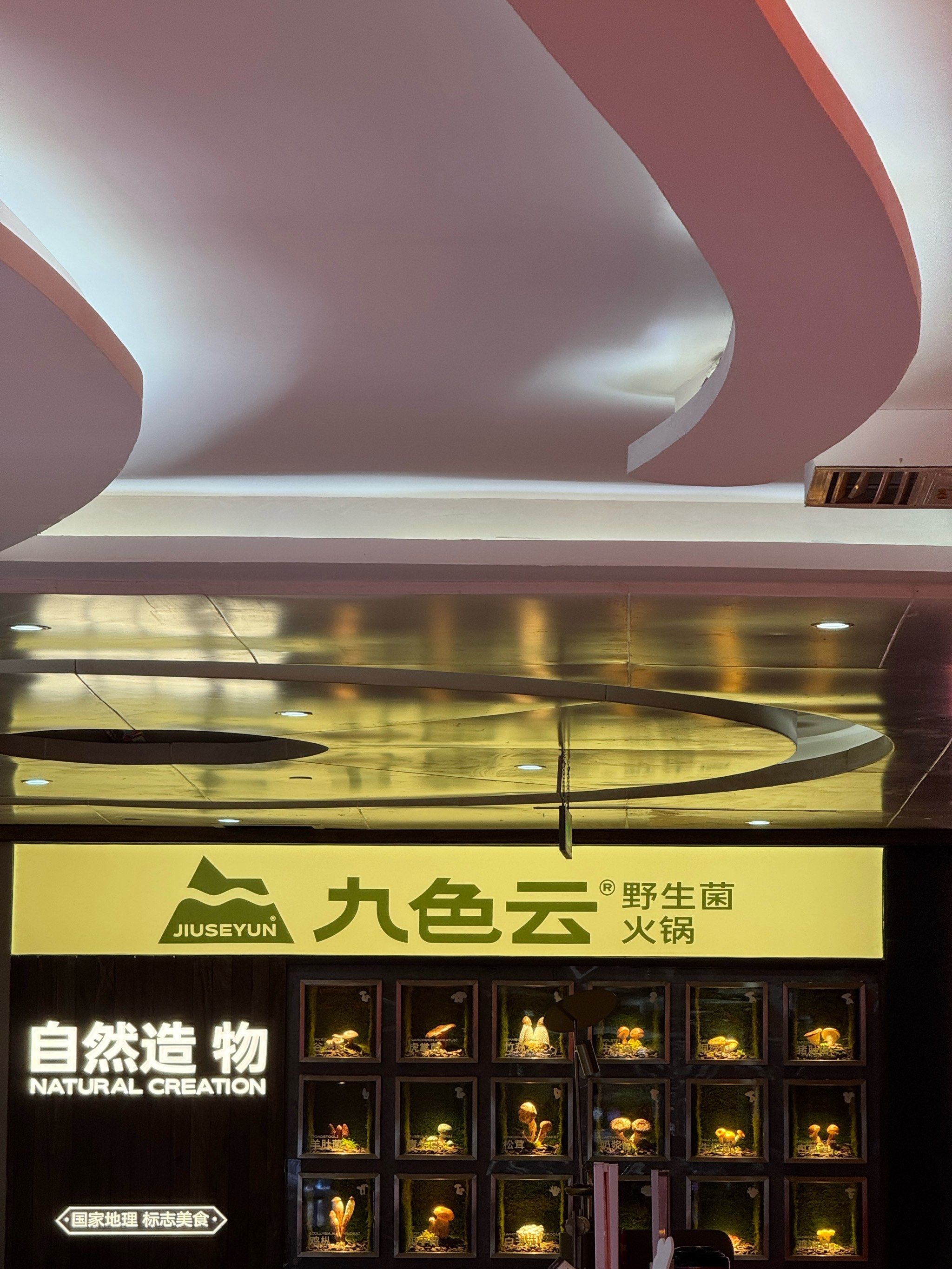 九色云野生菌火锅