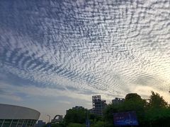 -梦之蓝青奥体育公园体育馆