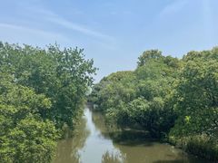 -梁鸿国家湿地公园