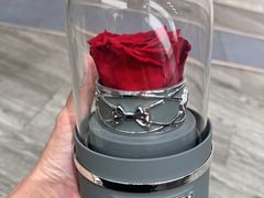 -ROSEONLY诺誓(沈阳万象城店)