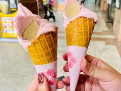 小草莓-麦当劳(文武路店)