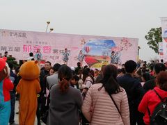 -金卉庄园