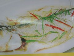 太湖白鱼-月落乌啼餐馆