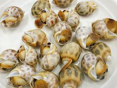 -众味海鲜大排档·活海鲜·潮汕味(南澳店)
