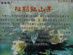 -金山植物公园