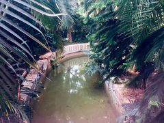 -龙达温泉生态城