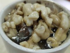 -广达眼镜炖罐(广达店)
