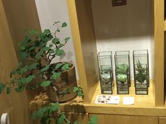 -柴务处·柴犬主题狗咖