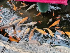 -上海大自然野生昆虫馆(东方明珠·爬宠昆虫探索中心)
