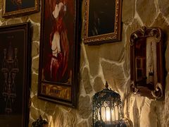 -雪灵魔法世界SHELLY’S TAROT(大良桂畔里店)