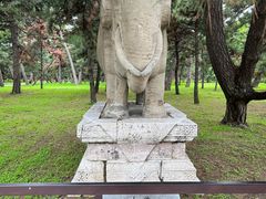-北陵公园