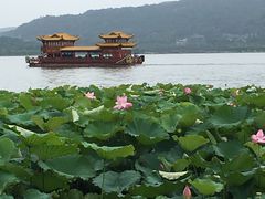 -西湖外事游船(湖滨二公园外事游船码头)