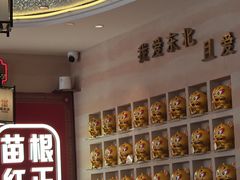 -遇东北林区铁锅炖(南开店)