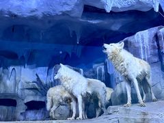-多彩贵州城极地海洋世界