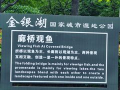 -金银湖国家城市湿地公园