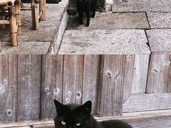-紫阳古街