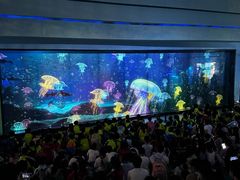 -海合安成都极地海洋公园
