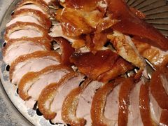 -守柴炉烤鸭(科华中路王府井店)