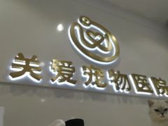 -关爱宠物医院·猫科中心·消化科(滨湖万达分院)