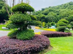 -西山漾湿地公园