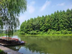 -溱湖国家湿地公园