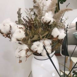 -紫御国际抗衰ZOE ANTI AGING
