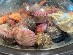 -大锅强·蒸海鲜青岛菜(吾悦广场店)