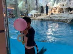 -帝企鹅自助餐厅•儿童岛•真企鹅(长隆企鹅酒店)