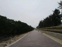 -宝安西湾红树林湿地公园