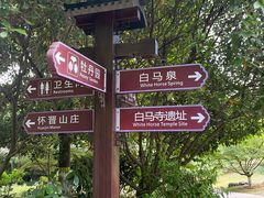 -习家池