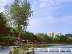 -塘沽森林公园